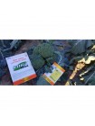 Самоа F1 семена капусты брокколи (Cora Seeds)