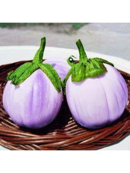 Бьянка Сфумата ди Роса семена баклажана (SAIS)