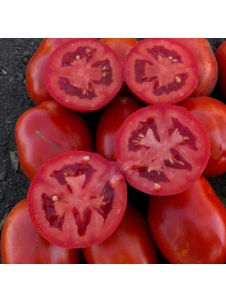 9985 F1 семена томата дететерминантного (Lark Seeds)