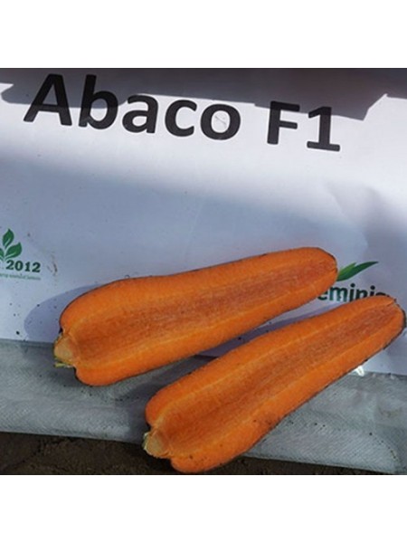 Абако F1 (Abaco F1) (1,4-1,6) насіння моркви (Seminis)