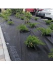 Агроволокно черное для мульчирования (плотность 100г/м2) (Agreen)