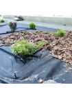Агроволокно черное для мульчирования (плотность 100г/м2) (Agreen)