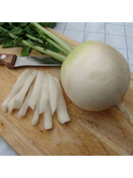 Аккорд семян редьки (Moravoseed)