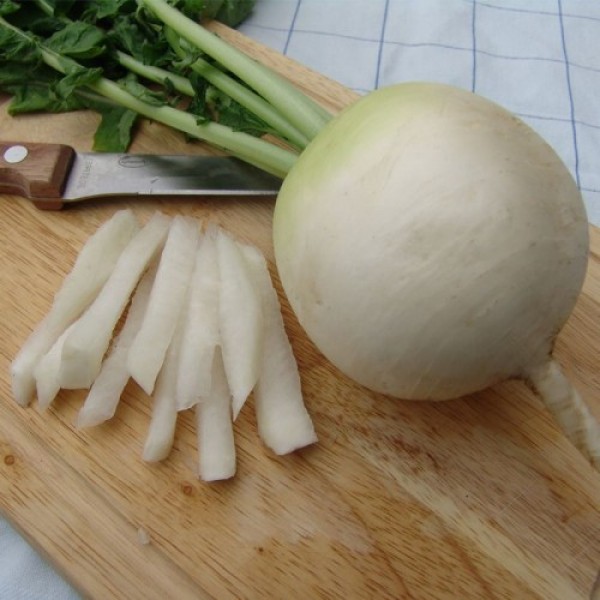 Аккорд семян редьки (Moravoseed)