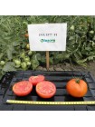 Арнольд (INX 1577 F1) семена помидора детерминантного (Innova Seeds)