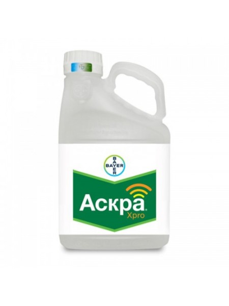 Фунгицид Аскра ХPRO – Bayer