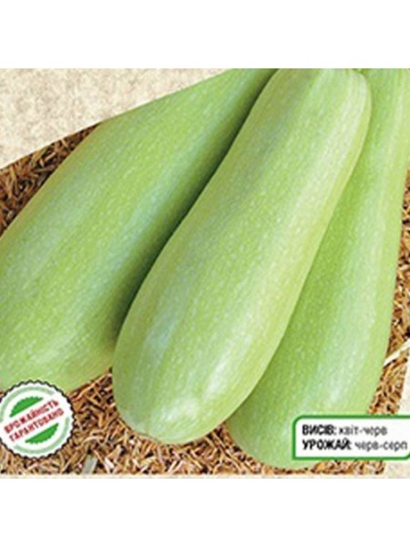 Аспирант семян кабачка (Seedera)