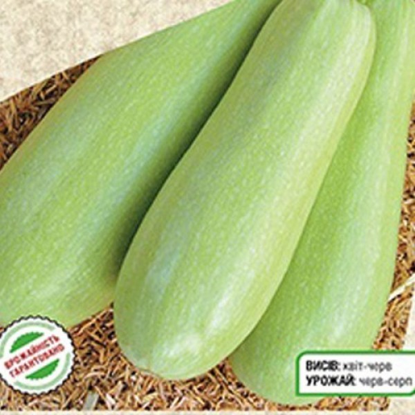 Аспирант семян кабачка (Seedera)