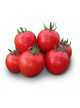 Асвон F1 (KS 1140 F1) семена помидора детерминантного (Kitano Seeds)