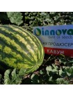АУ Продюсер семян арбуза среднего (Innova Seeds)