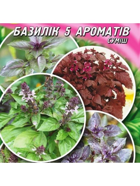 Базилик смесь 5 ароматов семян (Гелиос)