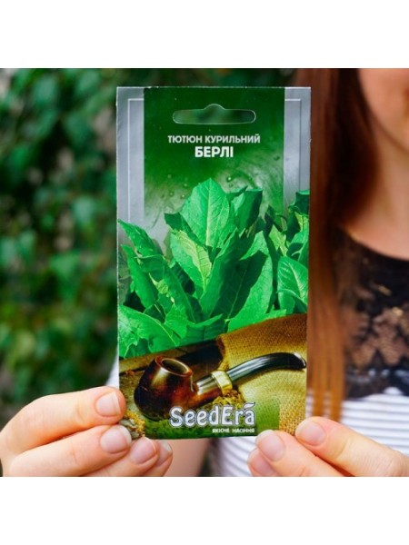 Берлі насіння курильного тютюну (Seedera)