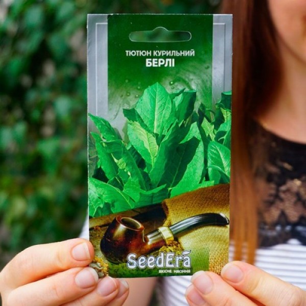 Берлі насіння курильного тютюну (Seedera)