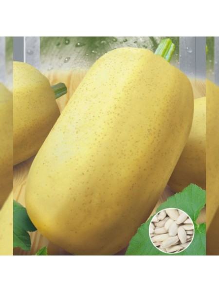 Болгарка семян тыквы (Seedera)