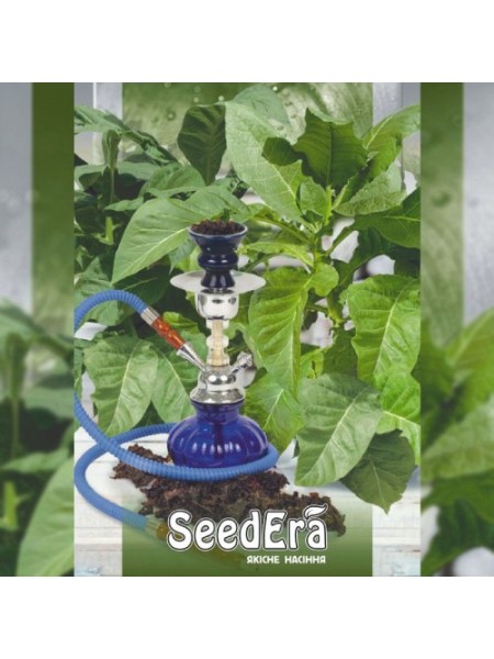 Болівійське чорне насіння курильного тютюну (Seedera)