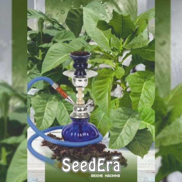Болівійське чорне насіння курильного тютюну (Seedera)