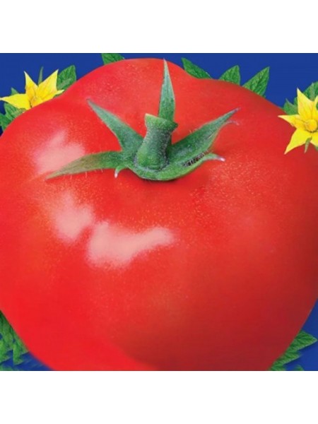 Красный гигант семена индетерминантного томата (GL Seeds)