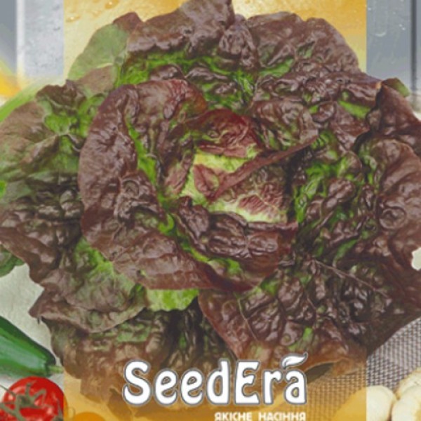 Четыре сезона семян салата тип Масленистый (Seedera)