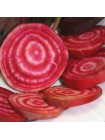 Чиогиа Гардсмарк семена свеклы столовой (Sakata)