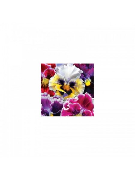 Диадема F1 семян виолы (GL Seeds)
