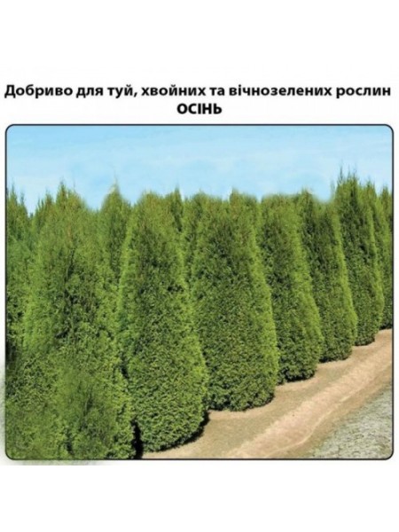 Для туй, хвойных и вечнозеленых растений ОСЕНЬ минеральное удобрение (Деметра)