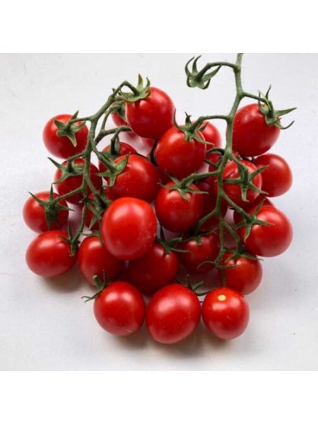 Дредд F1 семена томата детерминантный (Lark Seeds)