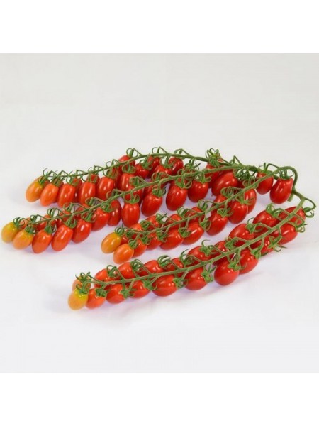 ЕС 51076 F1 (ES 51076 F1) семена помидора черри индетерминантного (Ergon seeds)