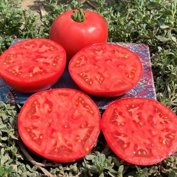 ЄС 2104 (EZ 2104) F1 насіння помідора детермінантного (LibraSeeds)