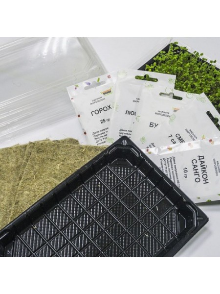 Фаворит (5 урожаев) набор семян микрозеленых (Agrocity)