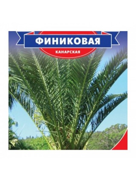 Фінікове насіння пальми (Seedera)