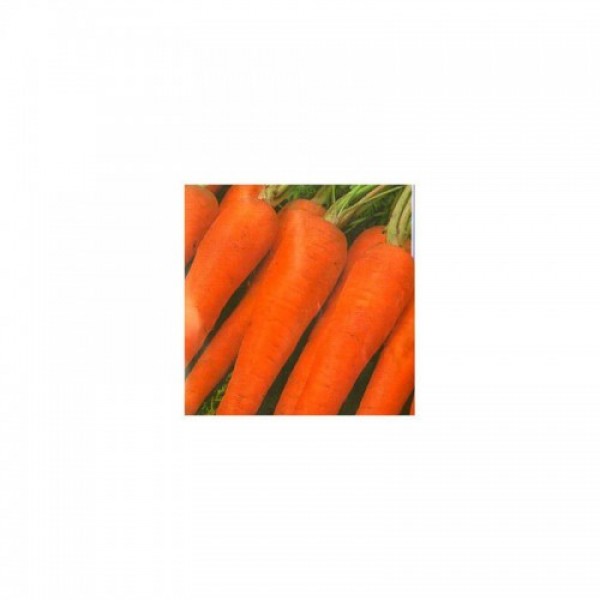 Флакко семена моркови (Hortus)