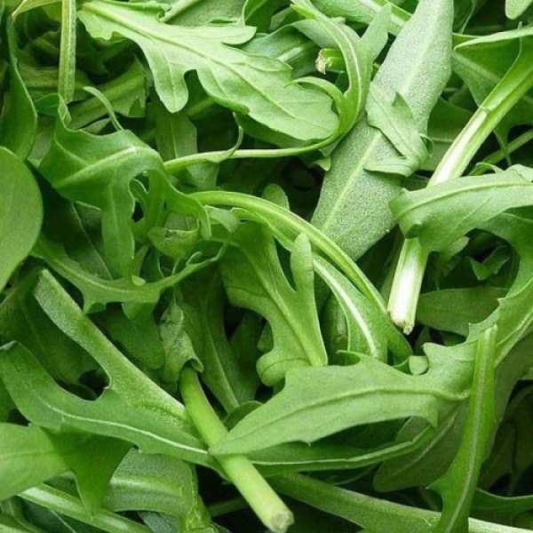 Уайлд Рокет семян руколы дикой (Hortus)