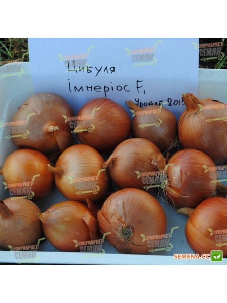 Империос F1 семян лука репчатого желтого (Lark Seeds)