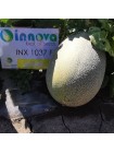 Еми F1 (INX 1037 F1) семена дыни (Innova Seeds)