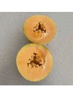 Алиша F1 (INX 1077 F1) семена дыни (Innova Seeds)