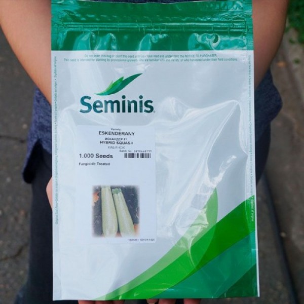 Искандер F1 семена кабачка (Seminis)
