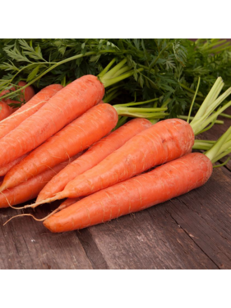 Красная Боярыня семян моркови (Satimex)