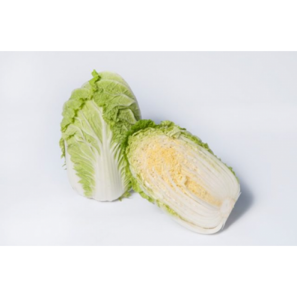 Кьюстар F1 (калибр.) семян капусты пекинской (Takii Seeds)