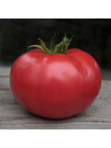 Кибо F1 (KS 222) F1 семена помидора индетерминантного (Kitano Seeds)