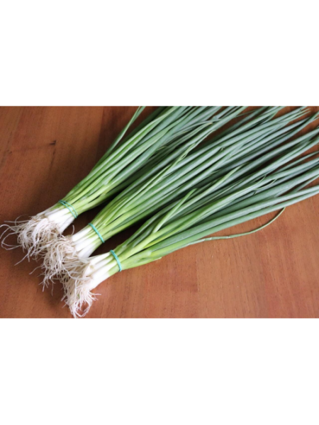 Кімі насіння цибулі на перо (Cora Seeds)