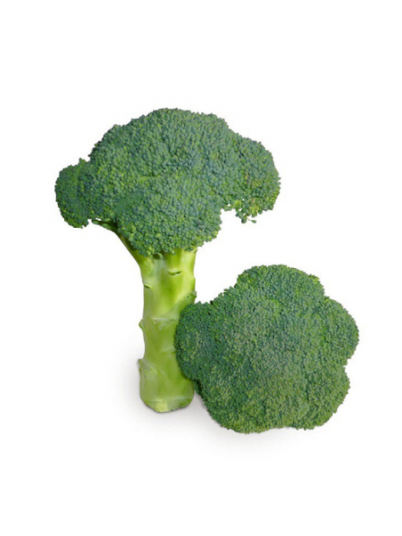 КС 355 F1 семена капусты брокколи (Kitano Seeds)