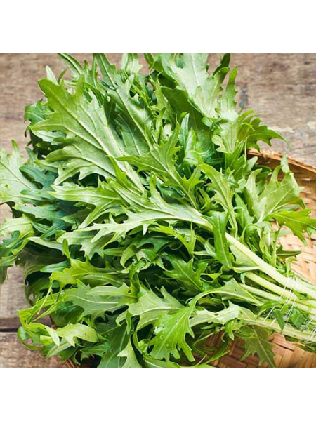 Мизуна зеленые семена салата тип Горчичный (Hortus)