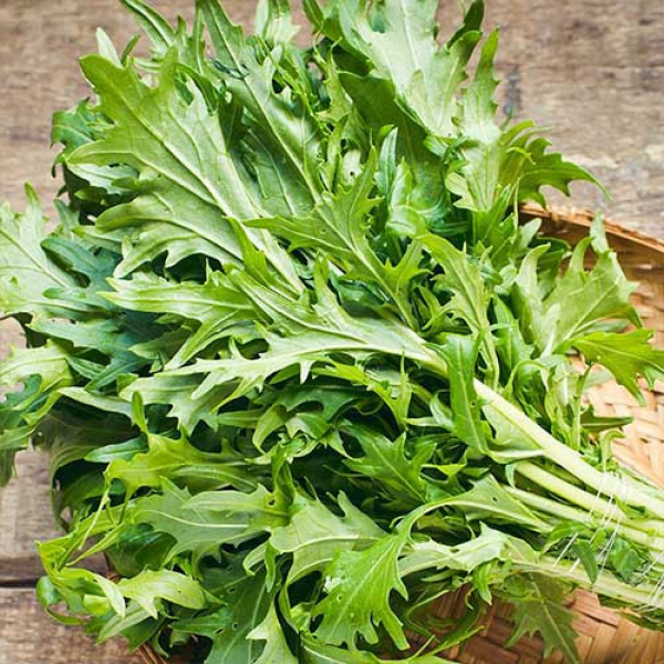 Мизуна зеленые семена салата тип Горчичный (Hortus)