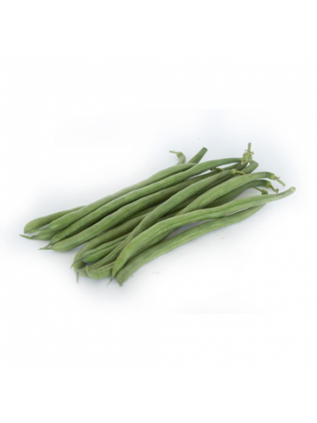 ПЛ 117 (PL 117) семена фасоли спаржевой кустовой средней 67 дней зел. (Bakker Brothers)