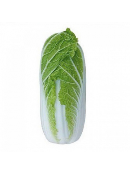 Тенсай (КС 374) F1 семена капусты пекинской (Kitano Seeds)