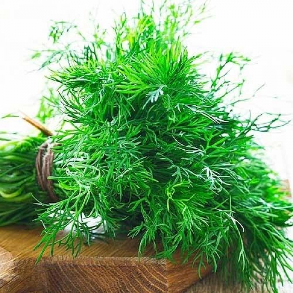Тетра семян укропа (Satimex КЛ)