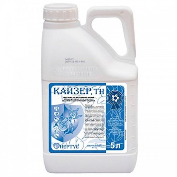 Кайзер протруйник (Нертус)
