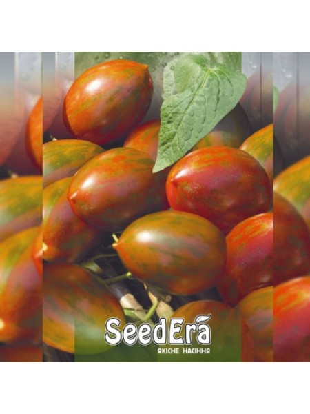 Хакі насіння помідора індетермінантного (Seedera)