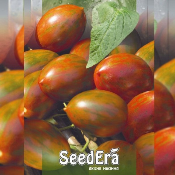 Хакі насіння помідора індетермінантного (Seedera)