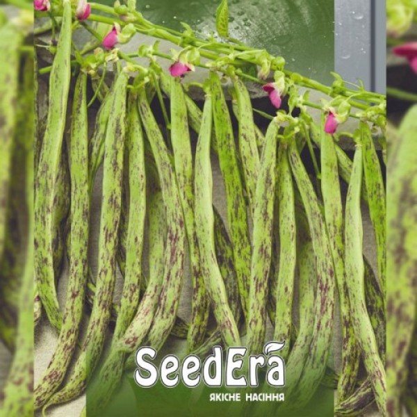 Хименез семян фасоли спаржевой (Seedera)